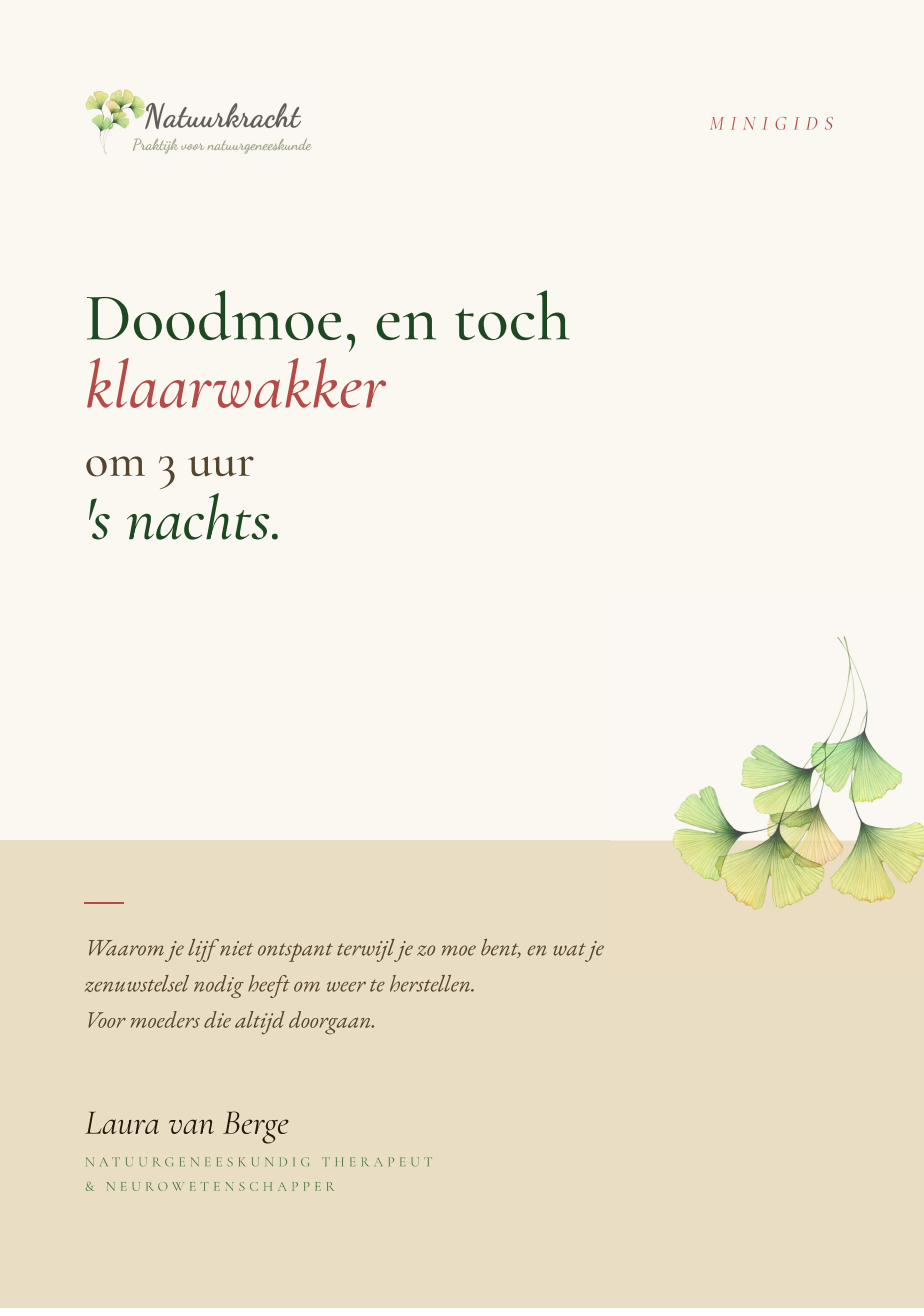 Voorkant minigids: Doodmoe, en toch klaarwakker om 3 uur 's nachts